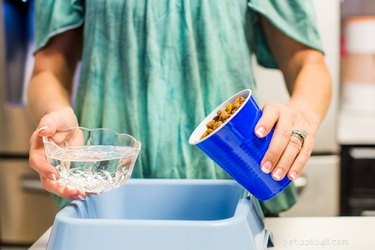 Helping Your Picky Dog Eat: Proven Strategies for a Healthy Diet