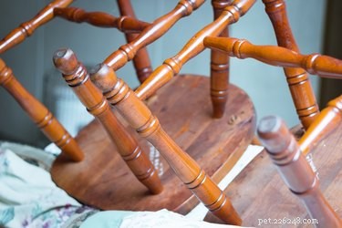 Effective Strategies to Keep Your Dog Off Furniture