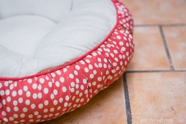 Effective Strategies to Keep Your Dog Off Furniture