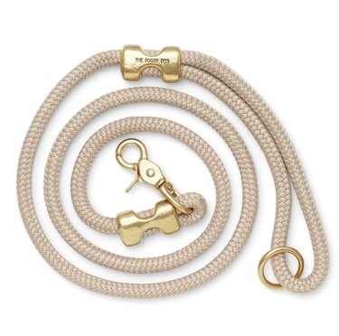 Top 2022 Dog Leashes: Durable, Comfortable, and Safe