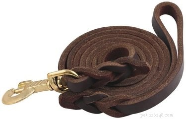Top 2022 Dog Leashes: Durable, Comfortable, and Safe