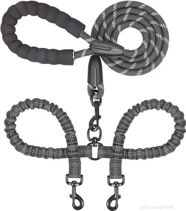 Top 2022 Dog Leashes: Durable, Comfortable, and Safe