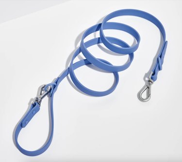 Top 2022 Dog Leashes: Durable, Comfortable, and Safe