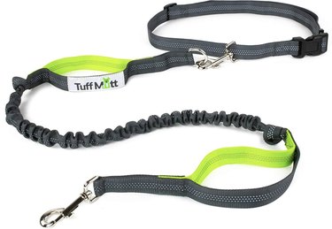Top 2022 Dog Leashes: Durable, Comfortable, and Safe
