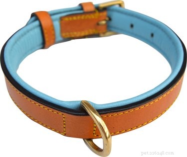 Best Dog Collars 2022: Comfort & Safety Guide