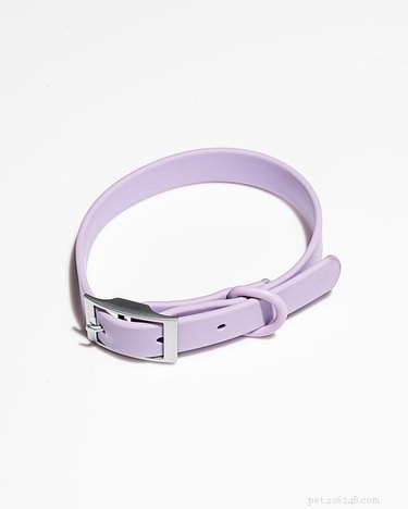 Best Dog Collars 2022: Comfort & Safety Guide
