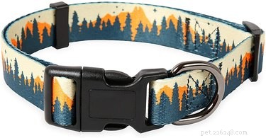 Best Dog Collars 2022: Comfort & Safety Guide