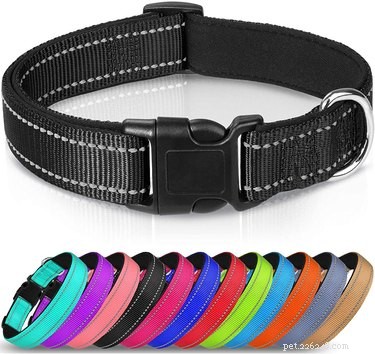 Best Dog Collars 2022: Comfort & Safety Guide