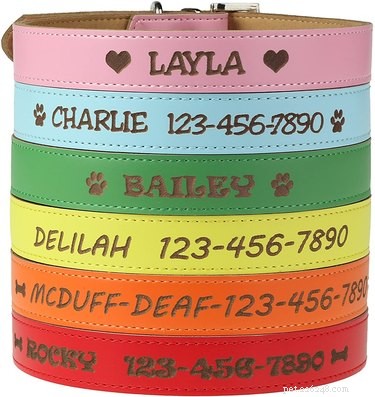 Best Dog Collars 2022: Comfort & Safety Guide