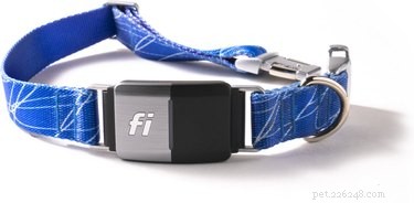 Best Dog Collars 2022: Comfort & Safety Guide
