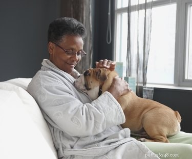 Do Dogs Truly Understand Human Facial Expressions?