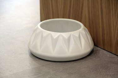 Top-Rated Ceramic Dog Bowls of 2022: Style Meets Durability