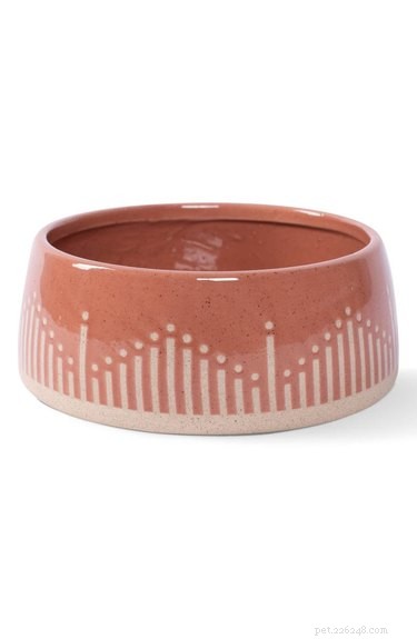 Top-Rated Ceramic Dog Bowls of 2022: Style Meets Durability
