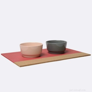 Top-Rated Ceramic Dog Bowls of 2022: Style Meets Durability