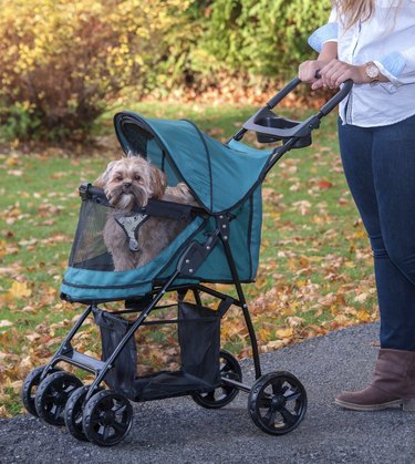 Top Dog Strollers of 2022: Comfort, Safety, and Style for Every Pup