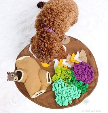 The Best Snuffle Mats for Dogs – Enhance Stress Relief & Mental Stimulation