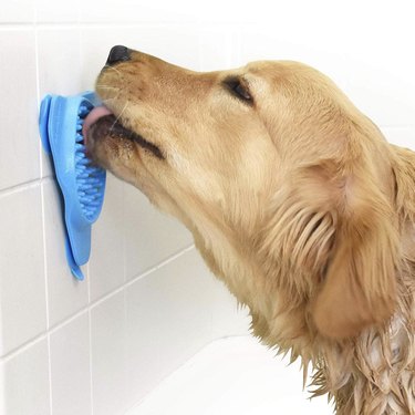 Top-Rated Lick Mats to Calm Your Dog: A Trusted Guide