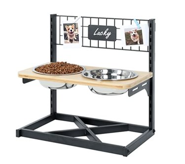 Top Elevated Dog Water Bowls for Comfort & Health