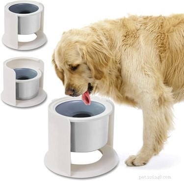Top Elevated Dog Water Bowls for Comfort & Health