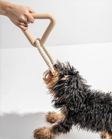 Top Dog-Friendly Tug Toys for Strong, Safe Play