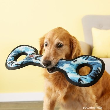 Top Dog-Friendly Tug Toys for Strong, Safe Play
