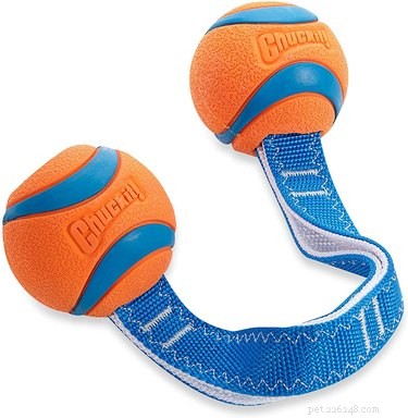 Top Dog-Friendly Tug Toys for Strong, Safe Play