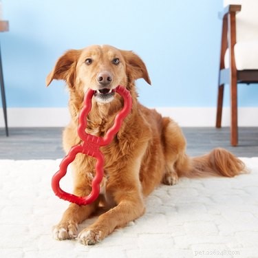 Top Dog-Friendly Tug Toys for Strong, Safe Play