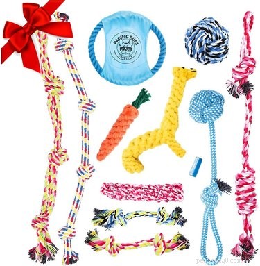 Top Dog-Friendly Tug Toys for Strong, Safe Play