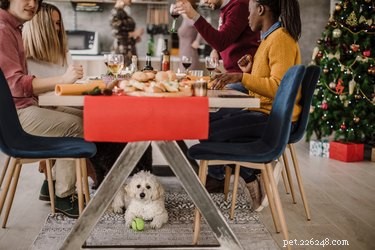 Guide: Respectful Guest Etiquette to Protect Your Pets During the Holidays