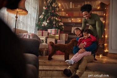 Guide: Respectful Guest Etiquette to Protect Your Pets During the Holidays