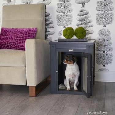 Top Dog Crates of 2022: Comfort, Safety & Style for Every Breed
