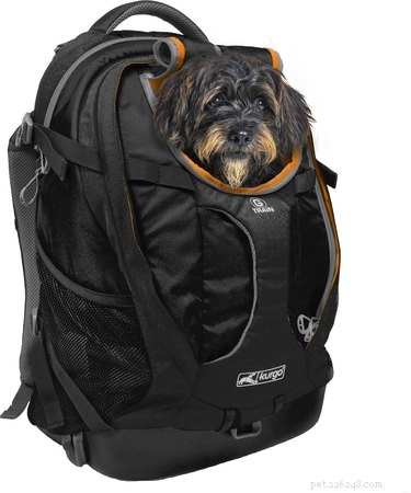 Top Airline-Approved Pet Carriers for 2022: Safe, Comfortable, and Certified