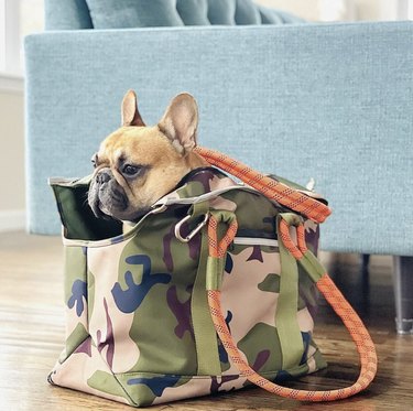 Top Dog Tote Bags: Stylish, Secure, and Comfortable for Every Trip