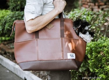 Top Dog Tote Bags: Stylish, Secure, and Comfortable for Every Trip