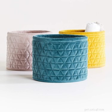 Top Dog Toy Storage Baskets of 2022: Organize Playtime & Protect Your Home