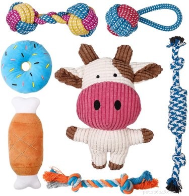Top Plush Dog Toys of 2022: Comfort, Safety, and Fun for Your Pet