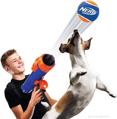 Top Fetch Toys for Dogs: Boost Energy, Reduce Anxiety, & Strengthen Bond
