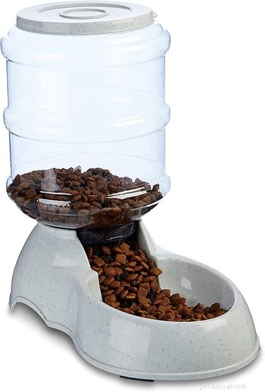 Top-Rated Automatic Dog Feeders for Reliable, Timely Meals