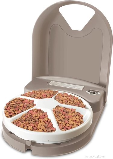 Top-Rated Automatic Dog Feeders for Reliable, Timely Meals