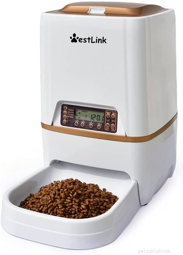 Top-Rated Automatic Dog Feeders for Reliable, Timely Meals