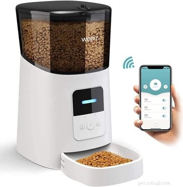 Top-Rated Automatic Dog Feeders for Reliable, Timely Meals