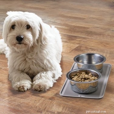 Top‑Rated Pet Feeding Mats: Keep Your Floors Clean and Your Pet Happy