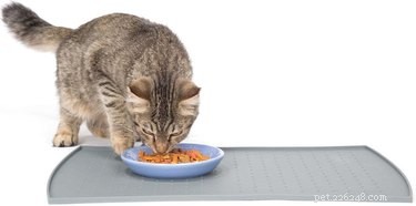 Top‑Rated Pet Feeding Mats: Keep Your Floors Clean and Your Pet Happy