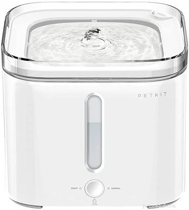 Top Dog Water Fountains: Fresh, Flowing Hydration for Your Furry Friend