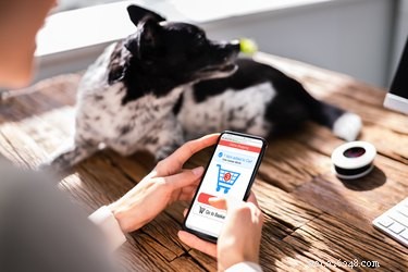 Top Amazon Cyber Monday Deals on Premium Dog Products – Save Big Today