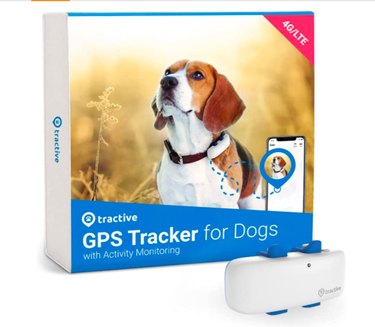 Top Amazon Cyber Monday Deals on Premium Dog Products – Save Big Today