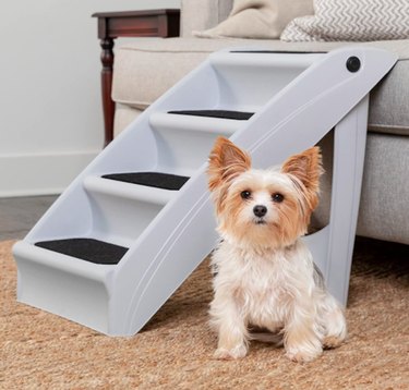 Top Amazon Black Friday Deals on Dog Products – Save Over 50% on Beds, Toys & More