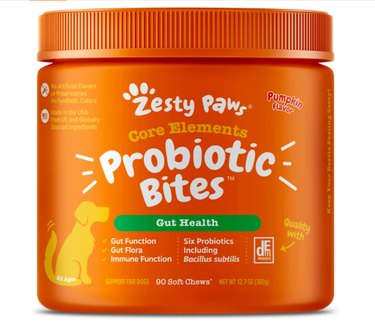 Top Amazon Black Friday Deals on Dog Products – Save Over 50% on Beds, Toys & More