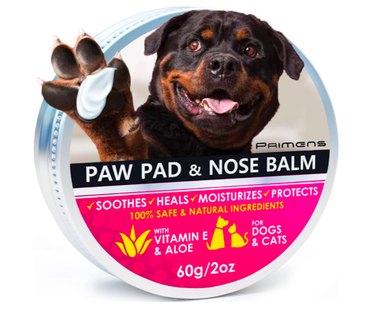 Top Amazon Black Friday Deals on Dog Products – Save Over 50% on Beds, Toys & More