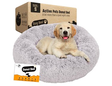 Top Amazon Black Friday Deals on Dog Products – Save Over 50% on Beds, Toys & More
